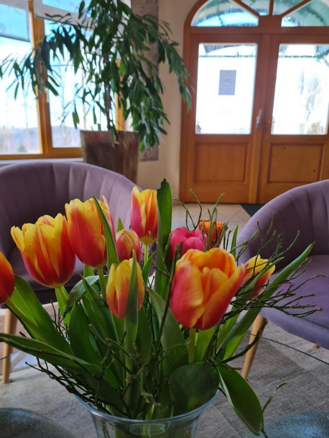 Dreilandhof Hotel Loipersdorf bei Fuerstenfeld Luaran gambar